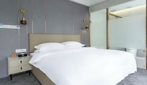 Luxury Room