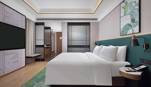 Room, 1 King Bed
