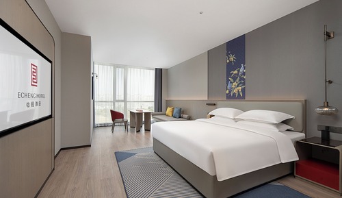 Luxury Single Room