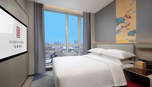 Superior Single Room