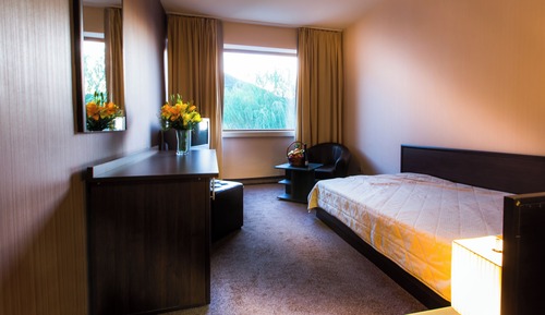 Business Single Room