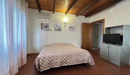 Basic Double or Twin Room, Garden View