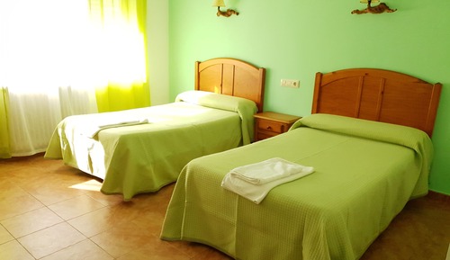 Basic Double Room