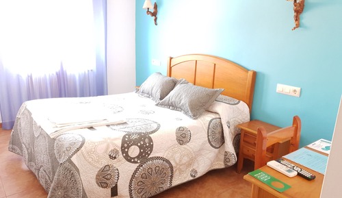 Basic Double Room