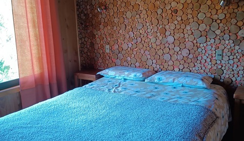 Room, 1 Queen Bed