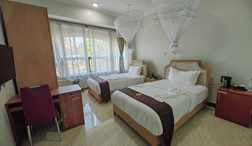 Deluxe Double or Twin Room, City View