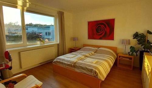 Comfort Double or Twin Room, Non Smoking, Garden View