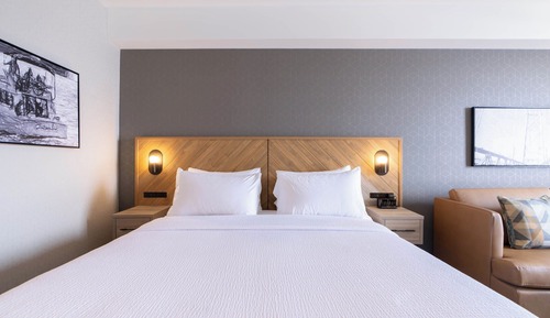 Standard Room, 1 King Bed with Sofa bed