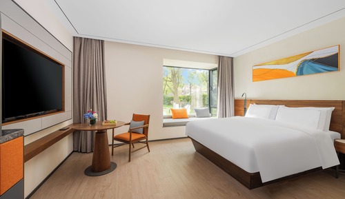 Superior Single Room