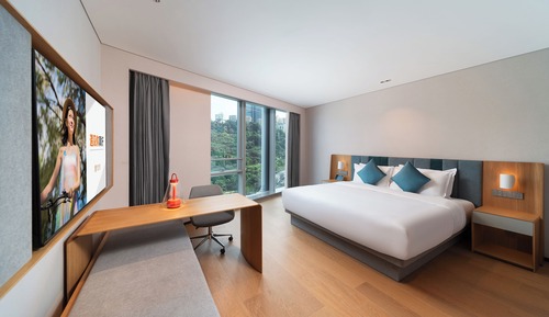 Luxury Double Room Single Use, Mountain View
