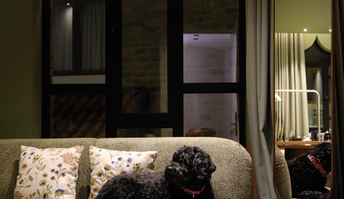 Deluxe Studio Suite, City View