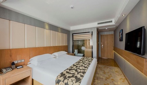 Comfort Single Room