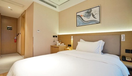 Comfort Single Room