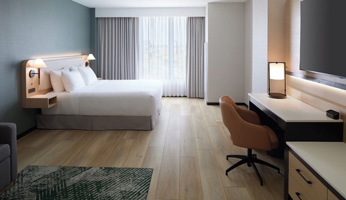 Room, 1 King Bed with Sofa bed, Accessible Bathtub (Specialty)
