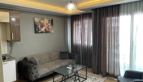 Comfort Apartment, 1 King Bed with Sofa bed