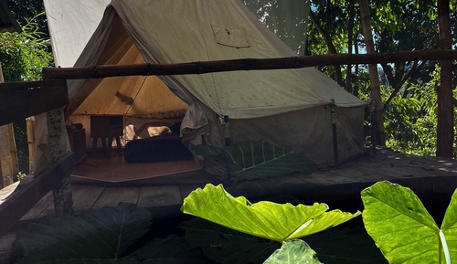 Family Tent, Mountain View