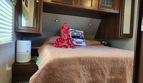 Premium Cabin