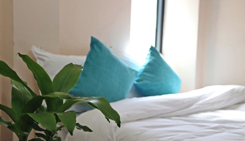 Deluxe Double or Twin Room, City View