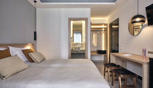 Deluxe Double or Twin Room