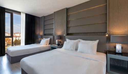 Deluxe French Room