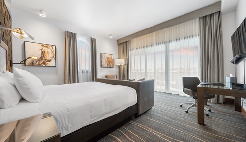 Deluxe Suite, 1 King Bed (Deluxe Suite)
