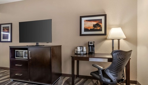 Standard Room, 1 King Bed, Non Smoking, Refrigerator & Microwave (Oversized Room)