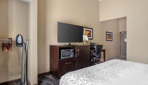 Standard Room, 1 King Bed, Non Smoking, Refrigerator & Microwave