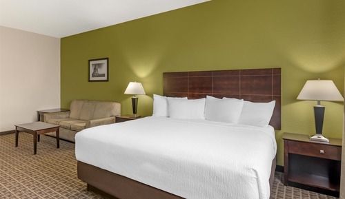 Standard Room, 1 King Bed, Non Smoking, Refrigerator & Microwave (with Sofabed)