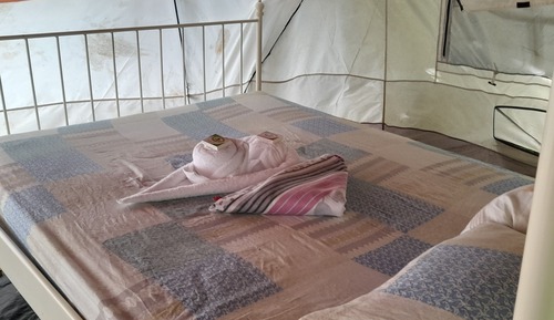 Superior Tent, Multiple Beds, Shared Bathroom, Mountain View