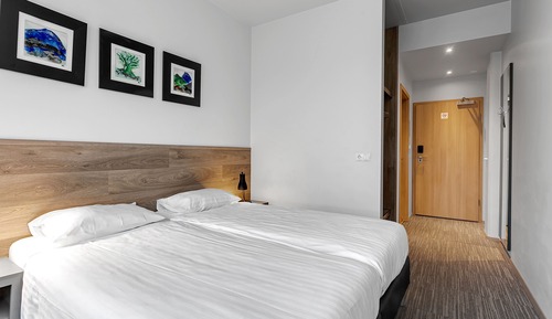 Standard Double or Twin Room (with Hot Tub and Sauna Access)