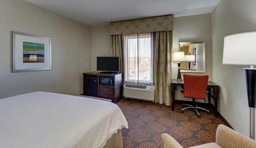 Room, 1 King Bed with Sofa bed, Refrigerator & Microwave