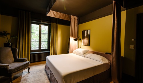Room, 1 King Bed