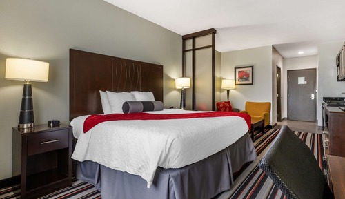 Suite, 1 King Bed, Non Smoking, Refrigerator & Microwave