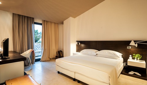 Standard Double or Twin Room, 1 King Bed, Private Bathroom