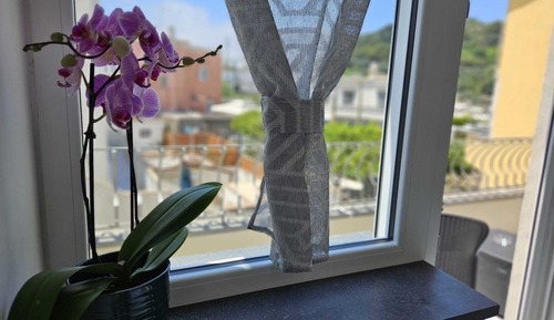Standard Room, Mountain View (Virginia)