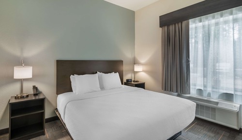 Suite, 1 King Bed, Accessible, Kitchen (with Sofabed, Full Kitchen)
