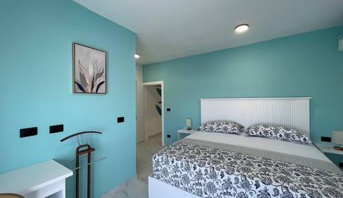 Basic Apartment