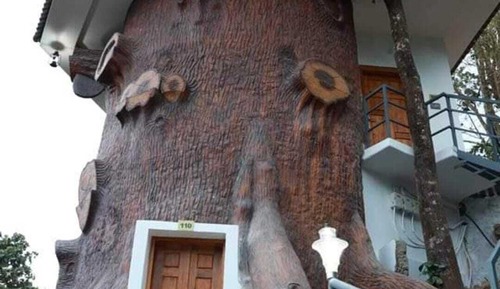 Tree House