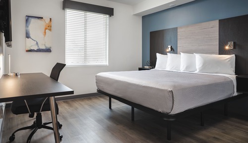 Suite, 1 King Bed with Sofa bed, Accessible