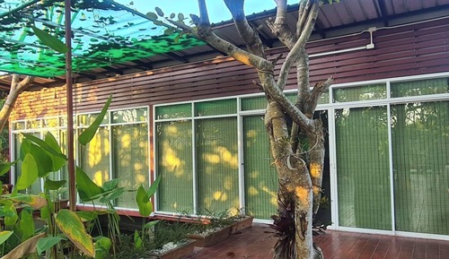 Cabin, Multiple Beds, Refrigerator, Garden View