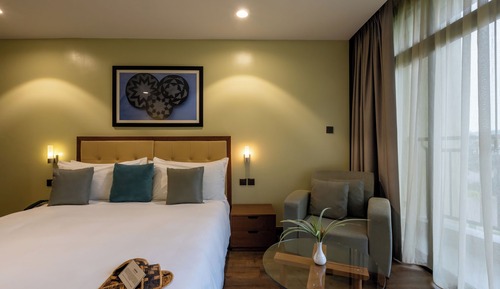 Standard Room, Mountain View