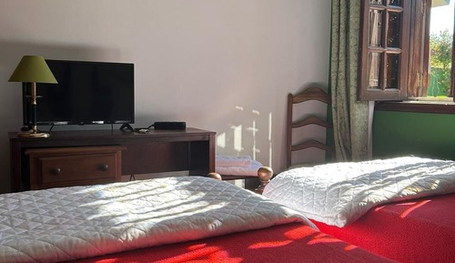 Basic Twin Room (SUITE 17)