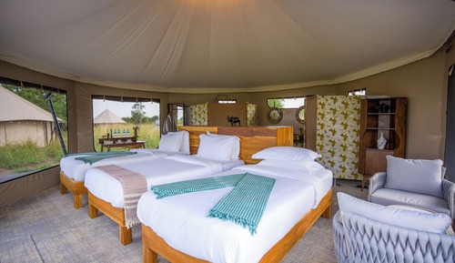 Luxury Tent