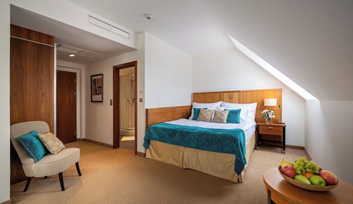 Deluxe Double Room, Terrace