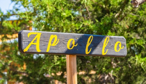 Tree House, 2 Bedrooms