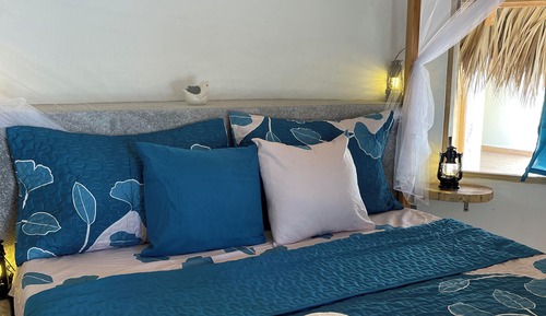 Premium Cabin, Beach View