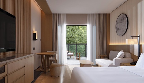 Room, 1 King Bed, Hill View