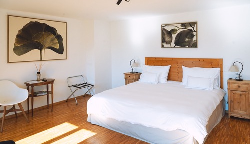 Deluxe Double Room, Balcony, Mountain View (Moleson)