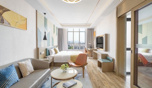Business Double Room, Mountain View
