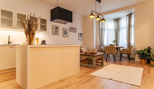 Comfort Apartment
